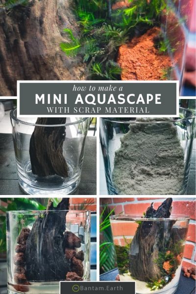 How To Aquascape A Mini Tank