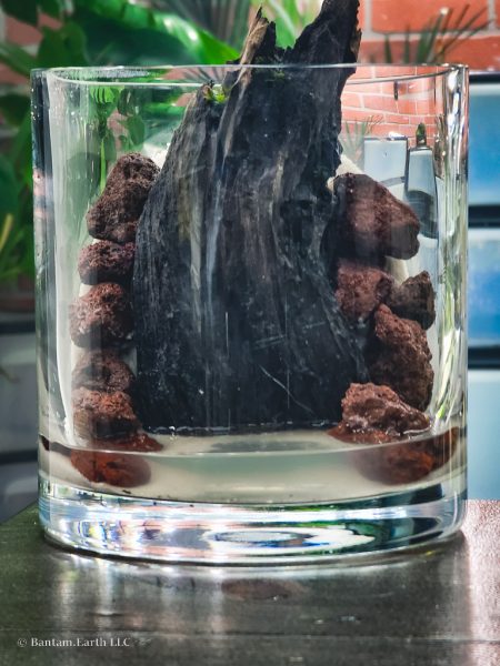 Hardscaping a mini aquascape