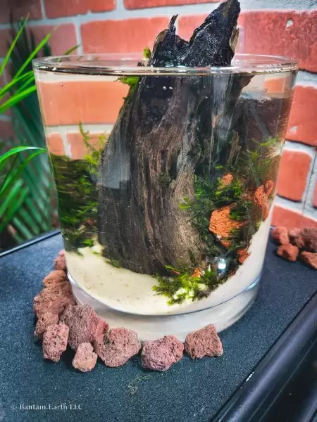 Mini Aquascape With Scrap Material