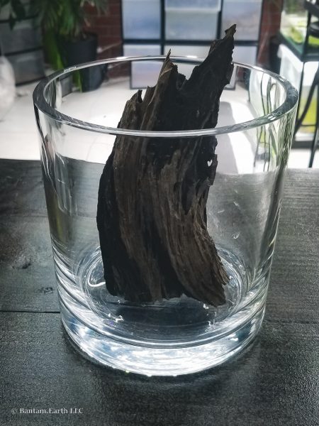 Driftwood in a mini aquascape