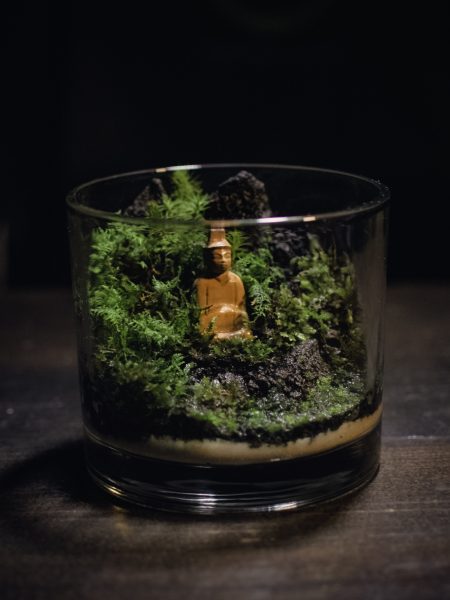 Making A Shinto Kami Jungle Terrarium