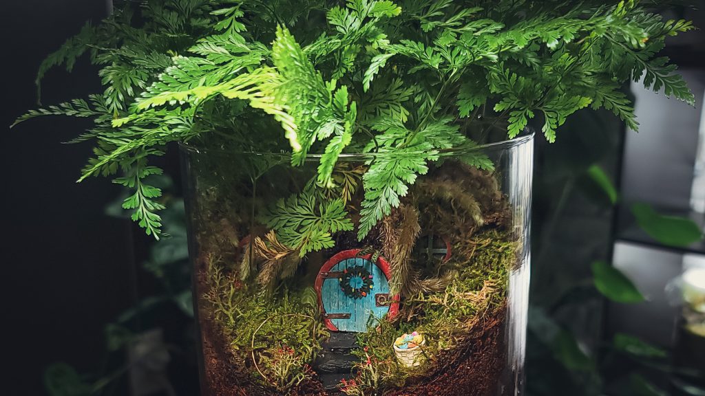 Fairy Garden Care