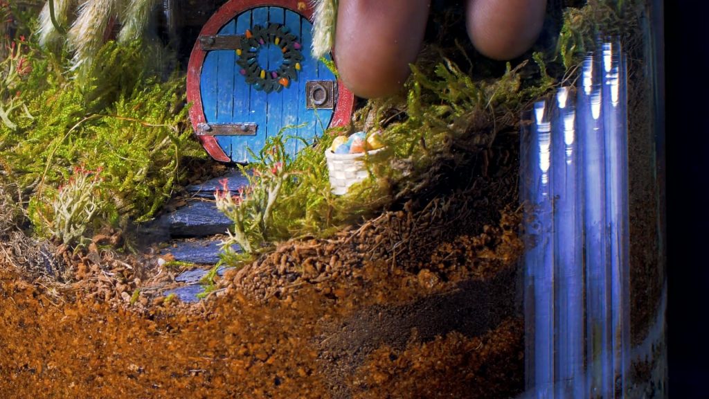 Best Fairy Garden Plant