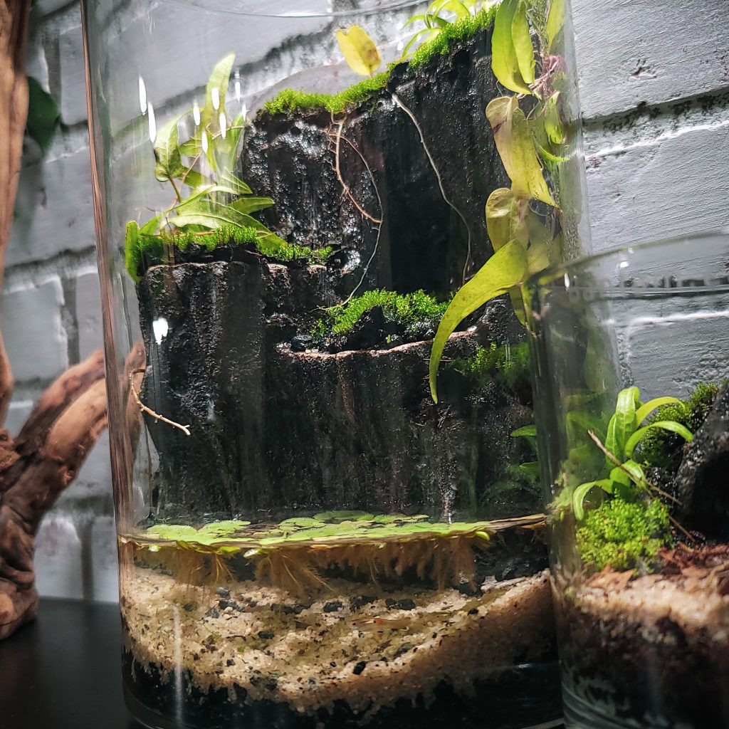 Aquarium Cave Care