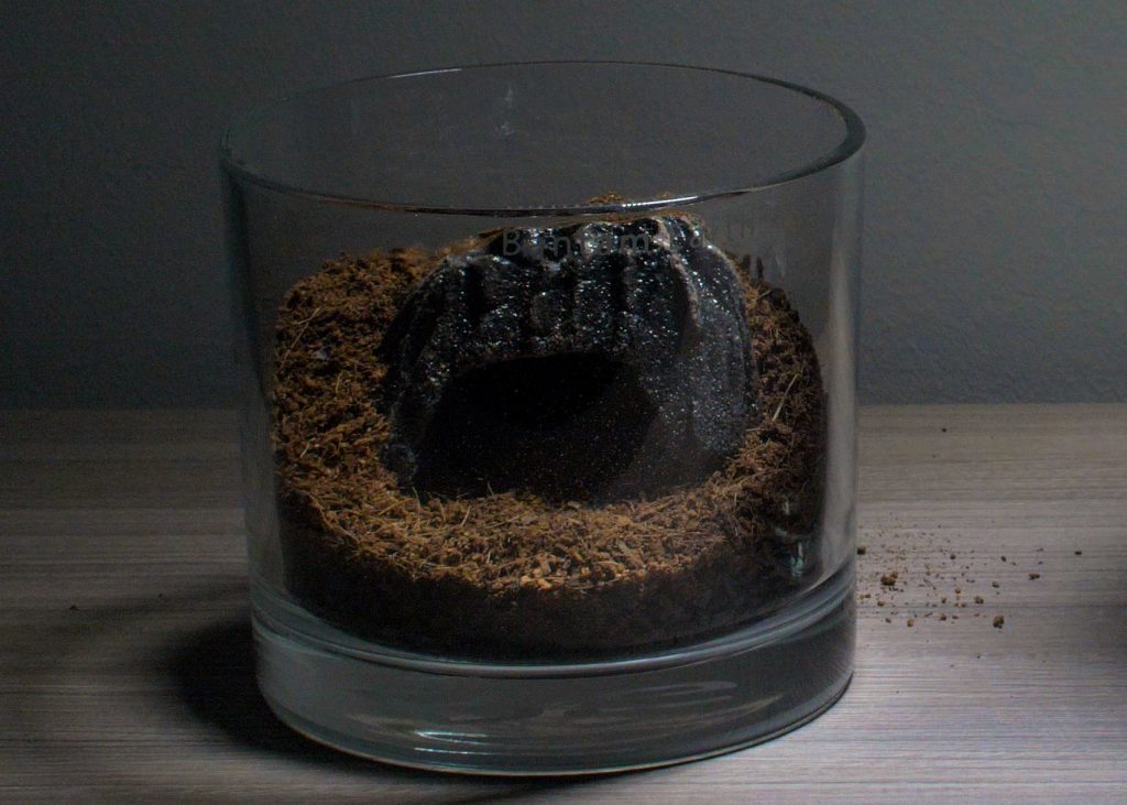 Making A Cave Terrarium