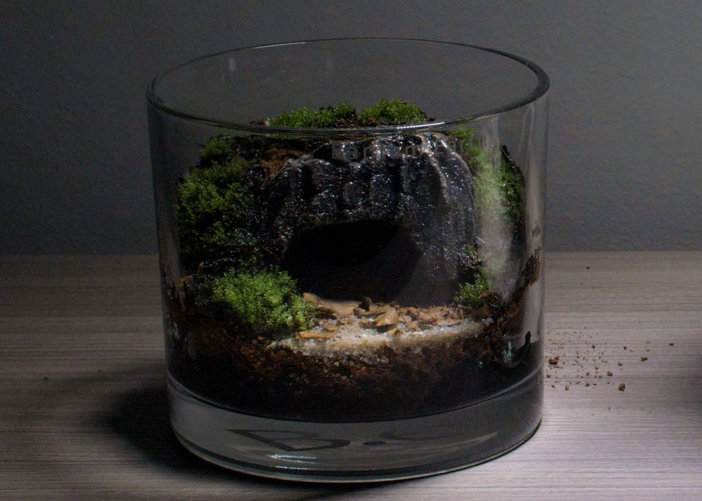 Making A Cave Terrarium