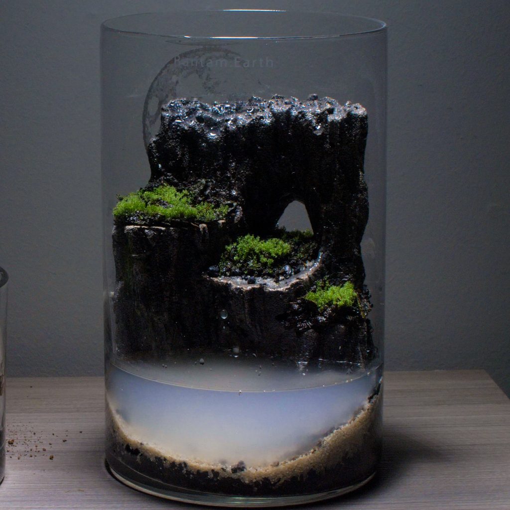 Best Plants For Aquarium Caves