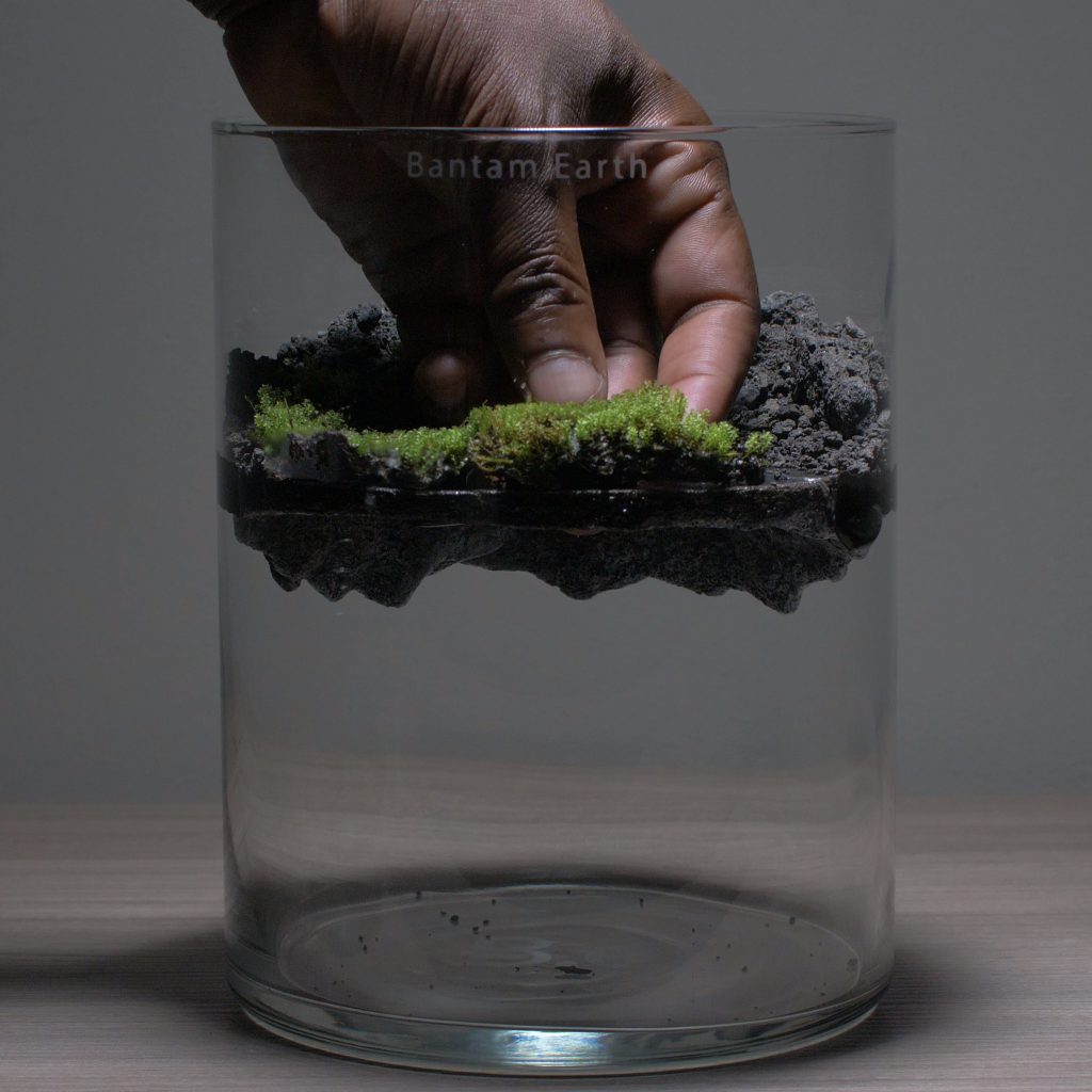 Best Plants For Sea Monkey Tanks