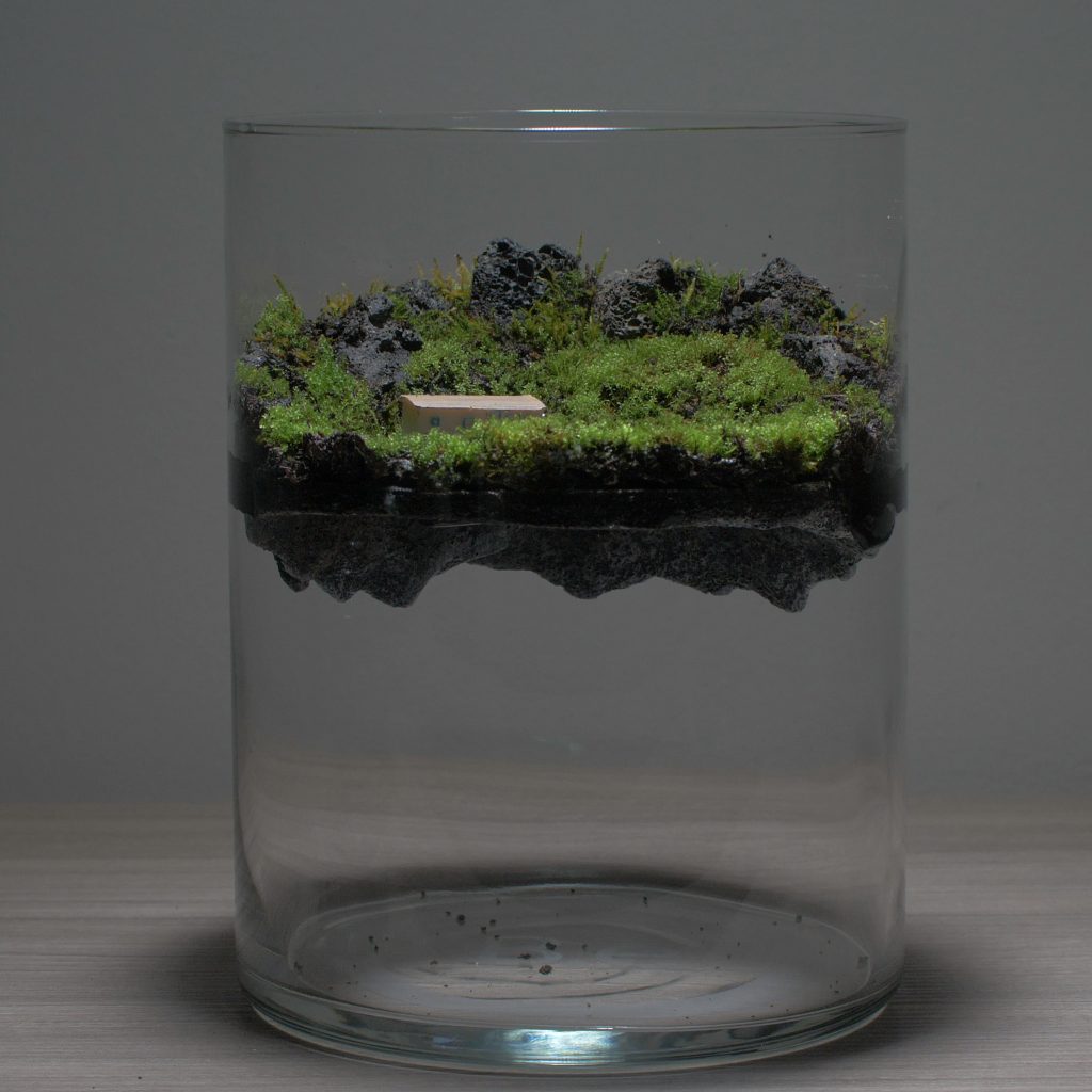 Best Plants For Sea Monkey Tanks