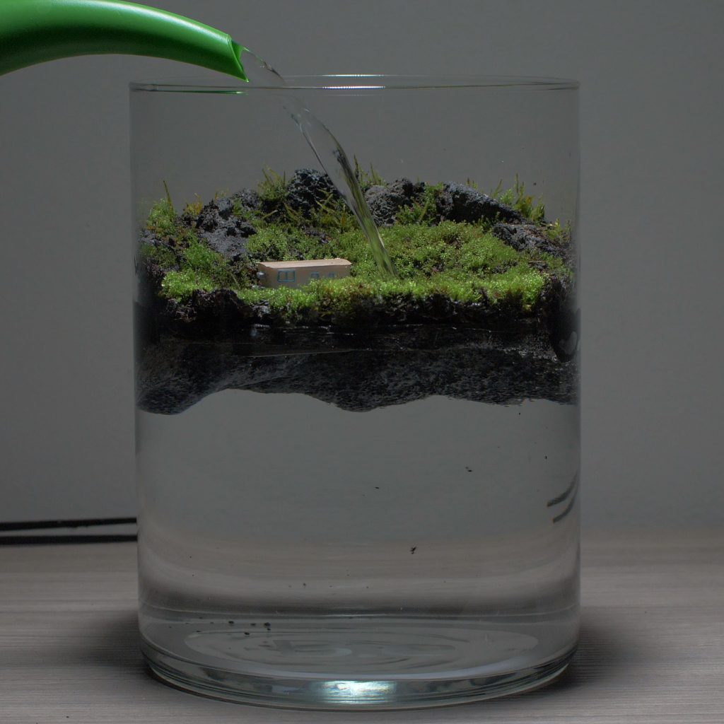 Best Plants For Sea Monkey Tanks