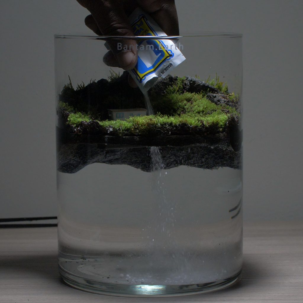 Best Plants For Sea Monkey Tanks