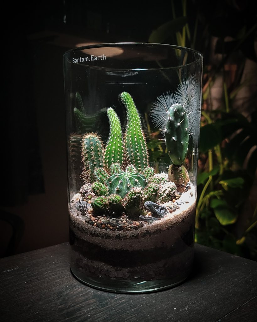 Making Prehistoric Desert | A Dinosaur Terrarium