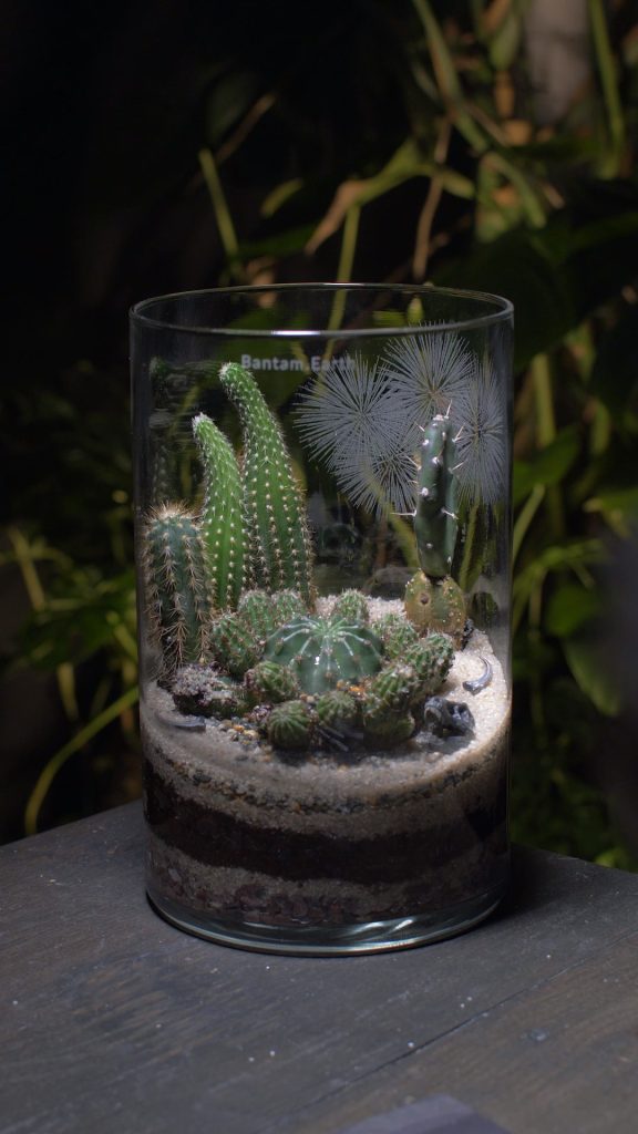 Making Prehistoric Desert | A Dinosaur Terrarium