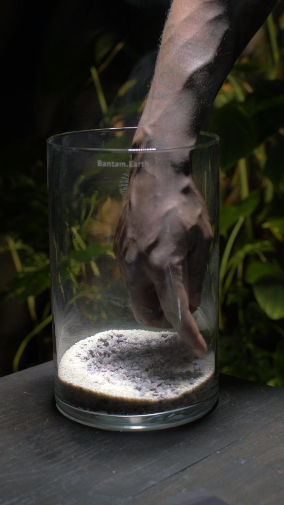 Making Prehistoric Desert | A Dinosaur Terrarium