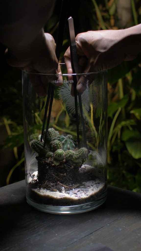 Making Prehistoric Desert | A Dinosaur Terrarium