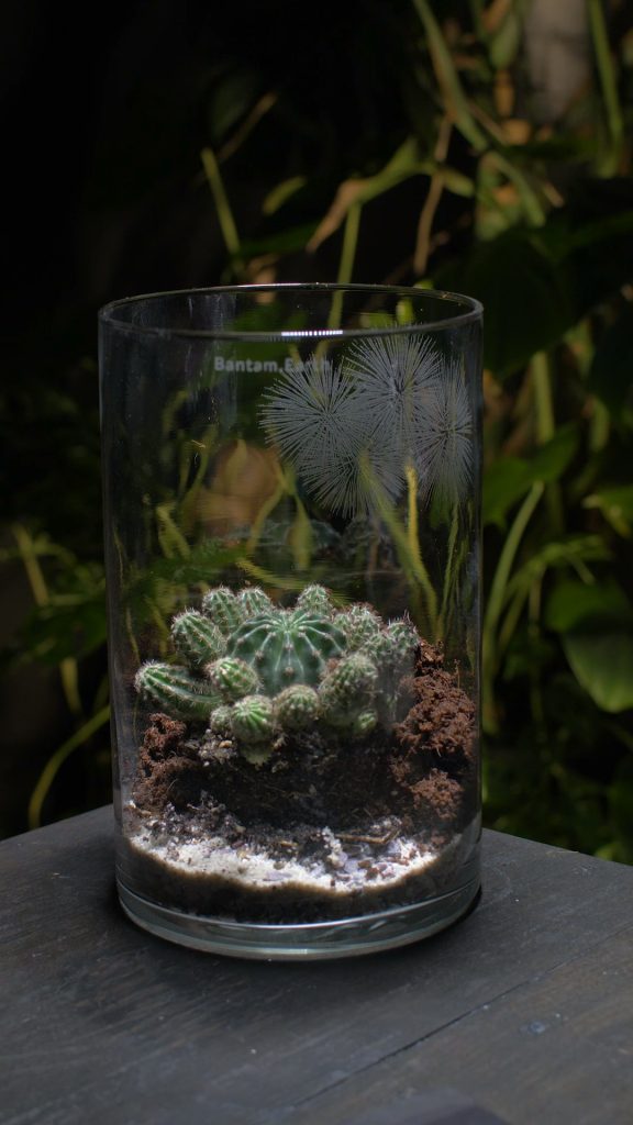 Making Prehistoric Desert | A Dinosaur Terrarium