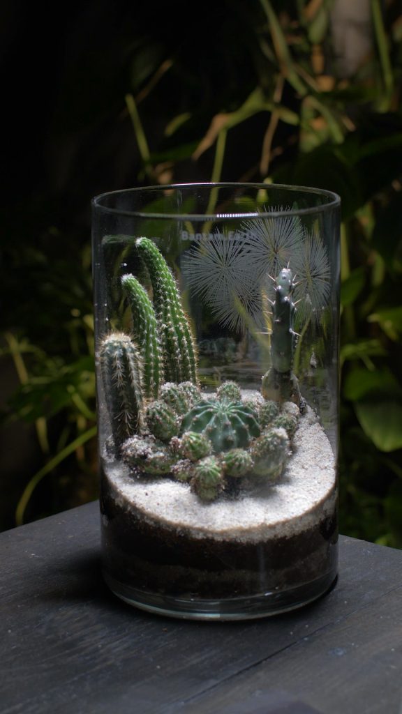 Making Prehistoric Desert | A Dinosaur Terrarium