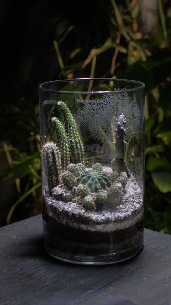 Making Prehistoric Desert | A Dinosaur Terrarium