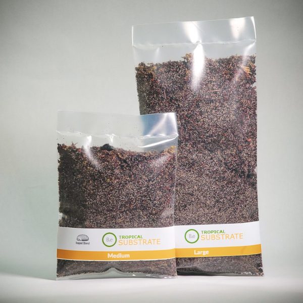 Premium Isopod Substrate Blend For Terrariums | Bantam.Earth