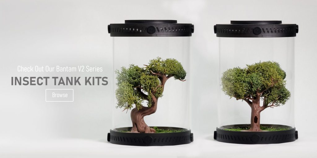 Customizable Insect Enclosures | Bantamarium V2 Series