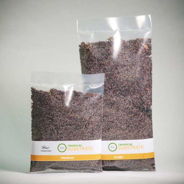 Premium Millipede Substrate Blend For Terrariums | Bantam.Earth