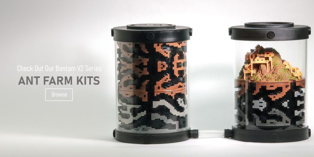 Expandable Ant Terrarium Kit | Bantam-V2 Colony Series
