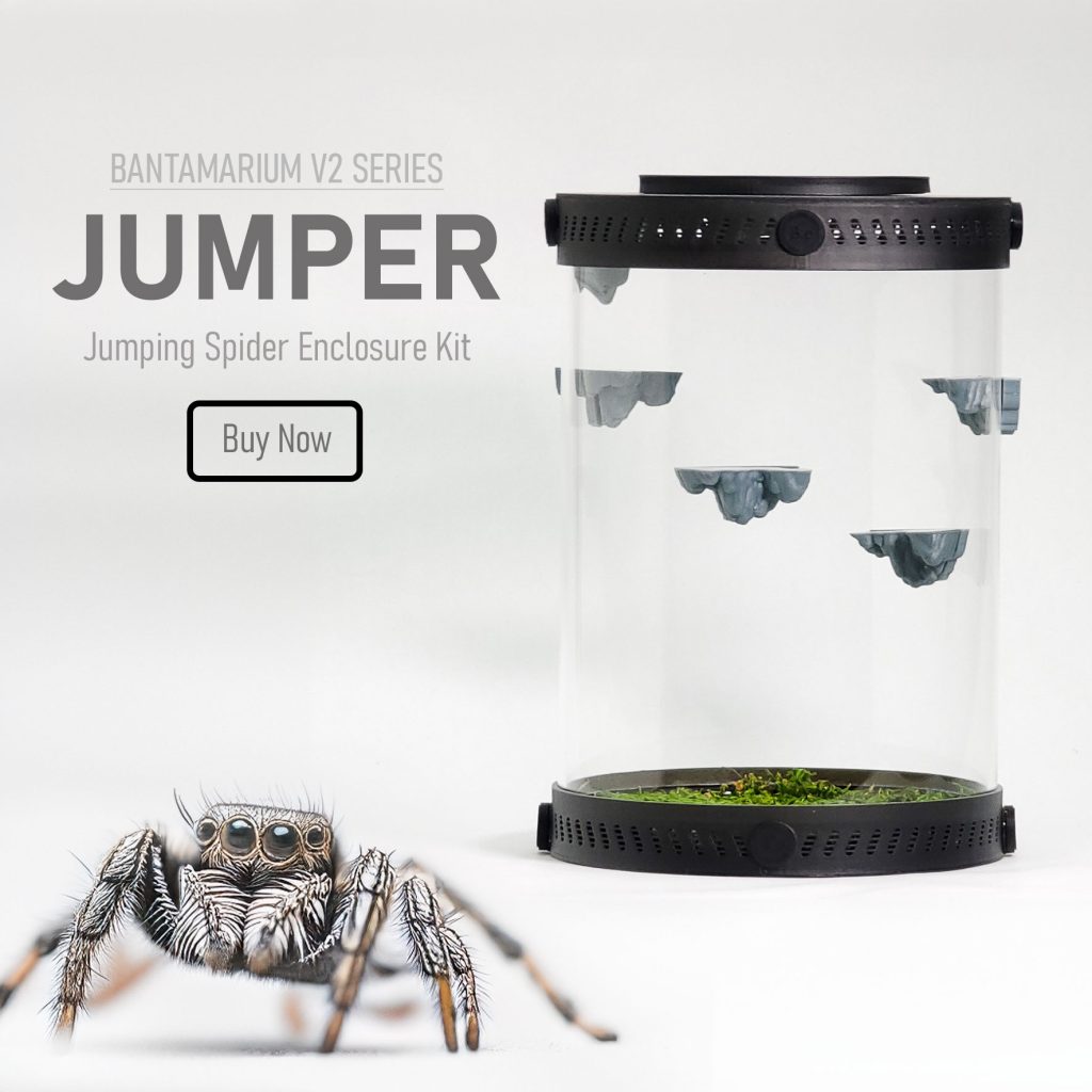 Adaptable Jumping Spider Enclosure Kit | Bantam-V2 Jumper