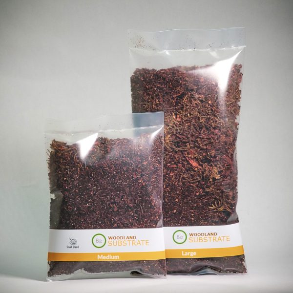 Land Snail Substrate Mix For Terrariums | Bantam.Earth