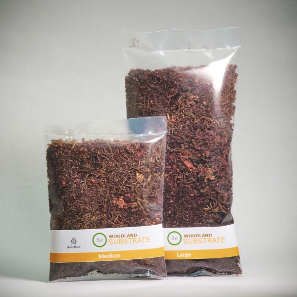 Beetle Substrate Mix For Terrariums | Bantam.Earth
