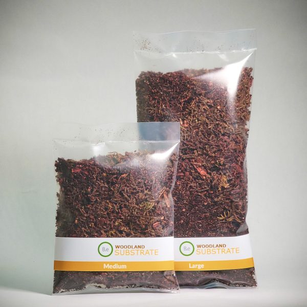Woodland Forest Substrate Mix For Terrariums | Bantam.Earth