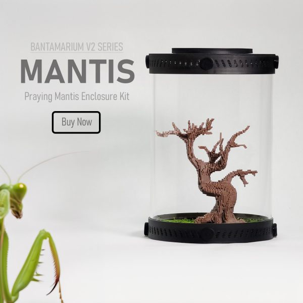 Customizable Praying Mantis Enclosure Kit | Bantam-V2 Mantis