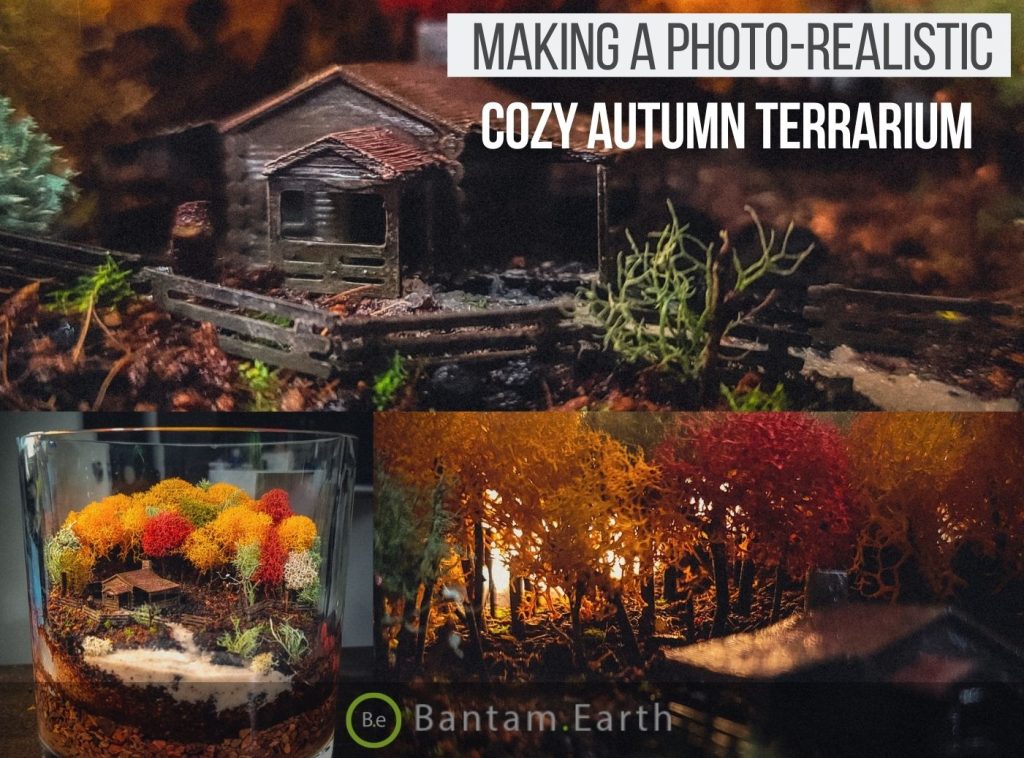 DIY Autumn Terrarium