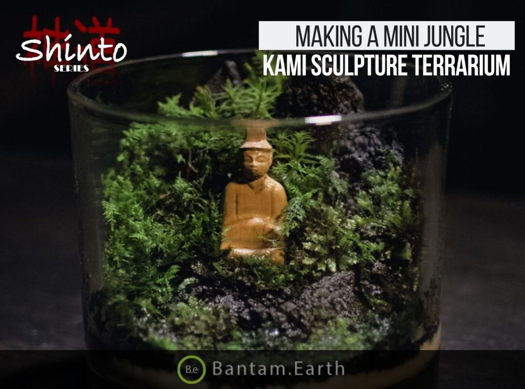 Making A Shinto Kami Jungle Terrarium