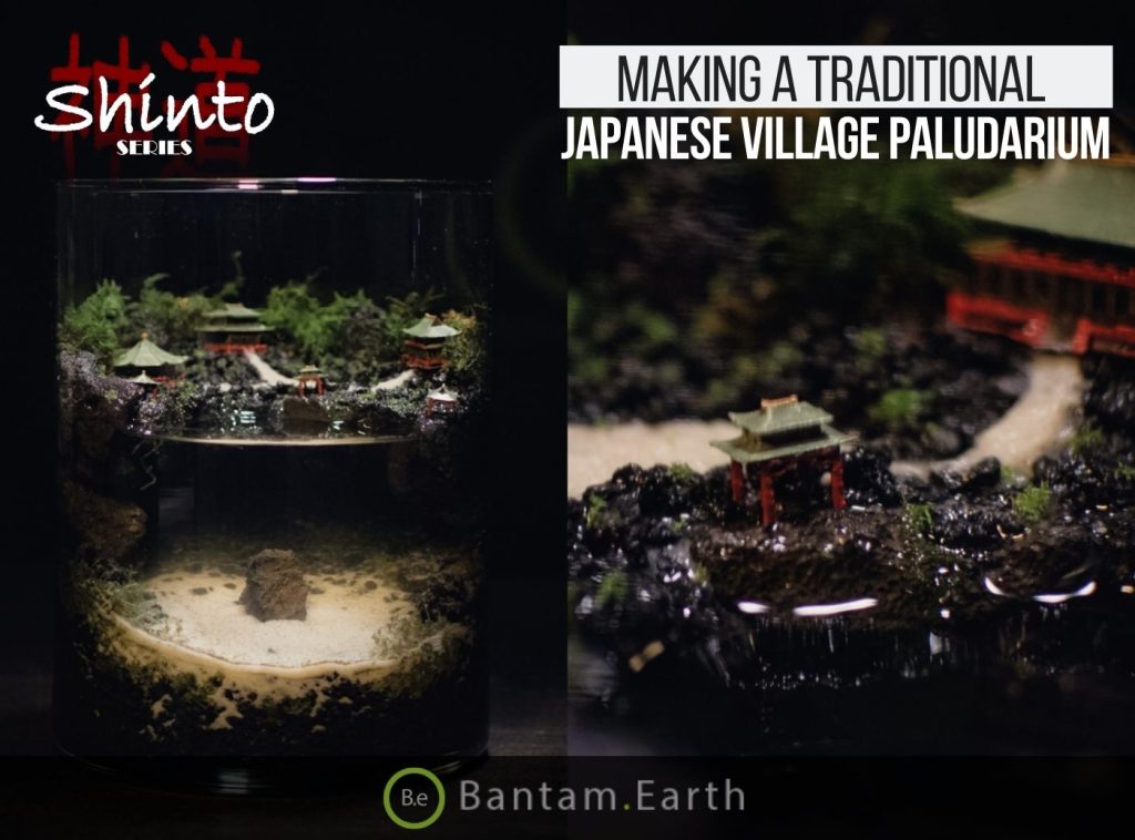 Making A Traditional Japanese Village Paludarium