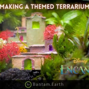 Making An Encanto Themed Terrarium
