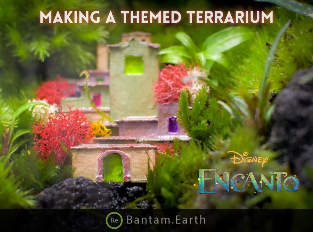Making An Encanto Themed Terrarium
