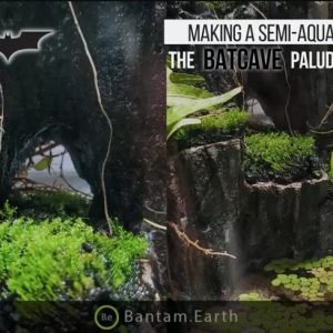 Making A Semi-Aquatic Inner Cave Scene