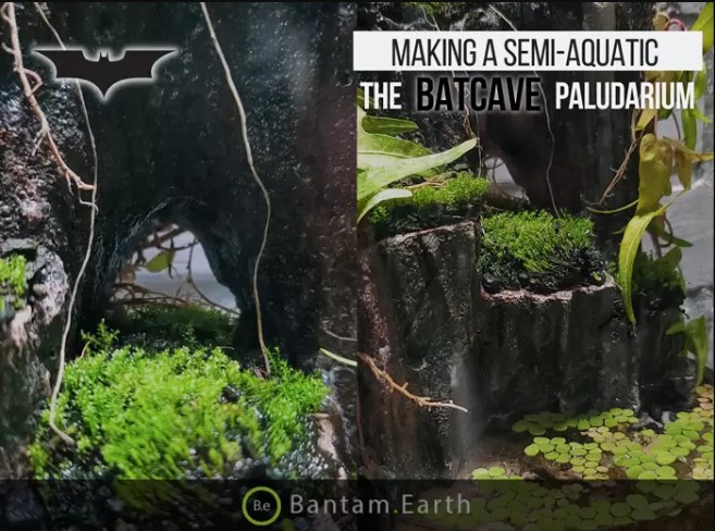 Making A Semi-Aquatic Inner Cave Scene