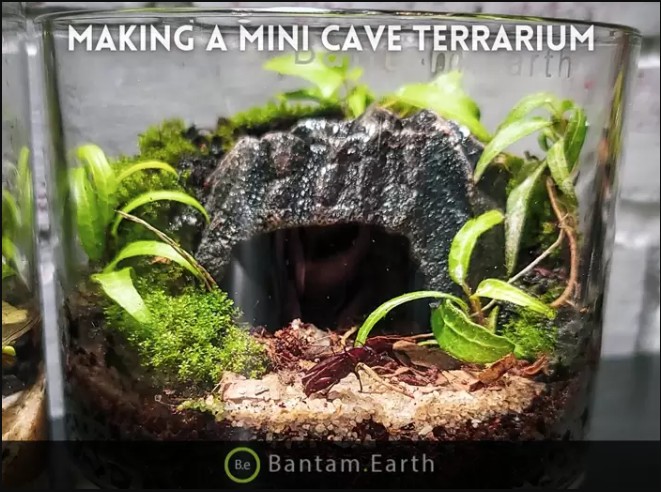 Making A Miniature Cave Terrarium
