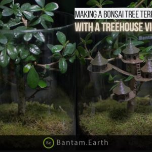 Making A Bonsai Treehouse Village | Bantam.Earth