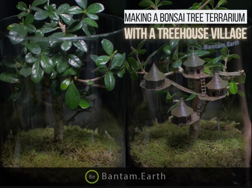 Making A Bonsai Treehouse Village | Bantam.Earth
