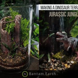 Making A Dinosaur Terrarium | "Jurassic Jungle"