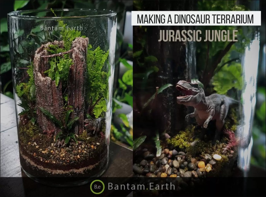 Making A Dinosaur Terrarium | "Jurassic Jungle"