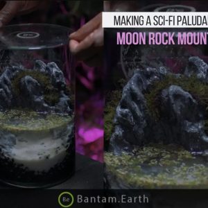 Making A Moon Rock Mountain Paludarium | Bantam.Earth
