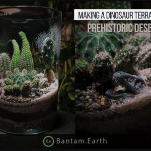 Making A Dinosaur Terrarium | "Prehistoric Desert"