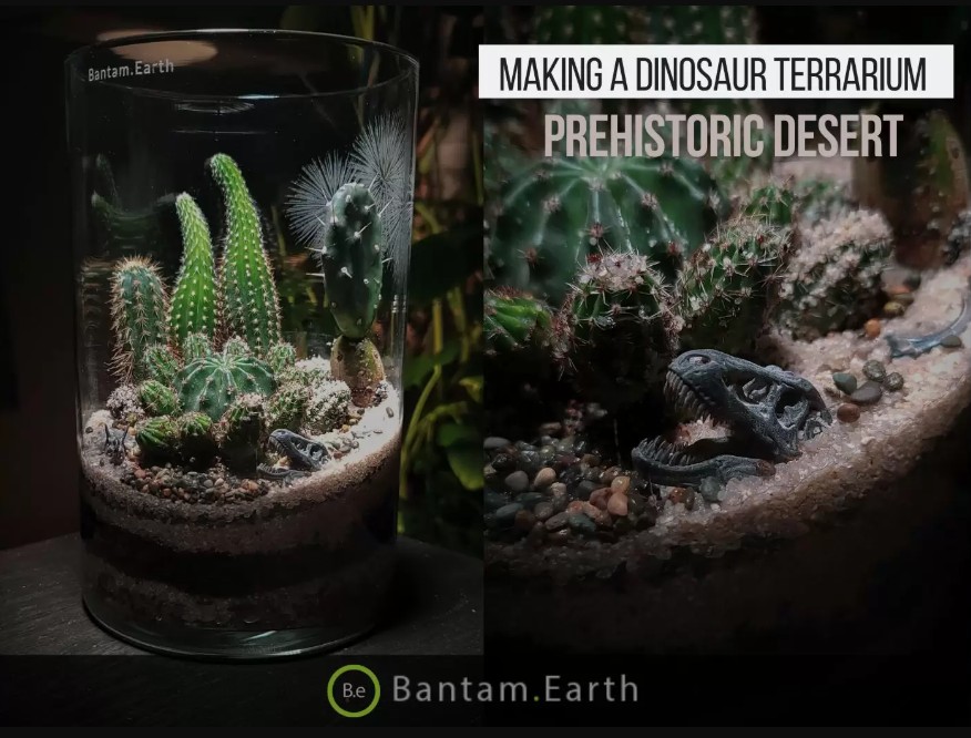 Making A Dinosaur Terrarium | "Prehistoric Desert"